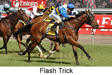 Flash Trick (18507 bytes)