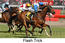 Flash Trick (18507 bytes)