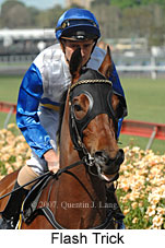 Flash Trick (18507 bytes)