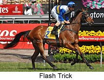 Flash Trick (18507 bytes)