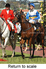 Return to scale (17769 bytes)