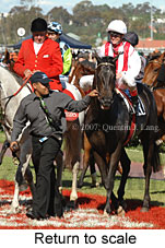 Return to scale (17769 bytes)