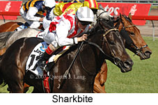 Sharkbite (18507 bytes)