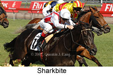 Sharkbite (18507 bytes)