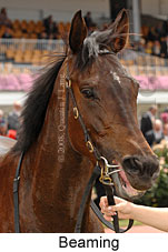 Beaming (18507 bytes)