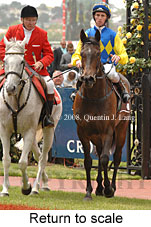 Return to scale (17769 bytes)