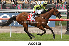 Acosta (18507 bytes)