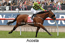 Acosta (18507 bytes)