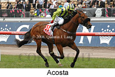 Acosta (18507 bytes)