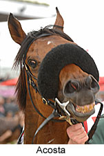 Acosta (18507 bytes)