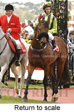 Return to scale (17769 bytes)