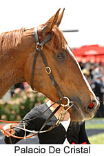 Palacio De Cristal (18507 bytes)