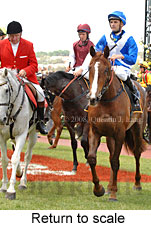 Return to scale (17769 bytes)