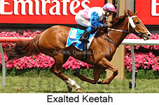 Exalted Keetah (18507 bytes)