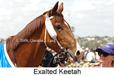 Exalted Keetah (18507 bytes)