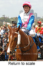 Return to scale (17769 bytes)