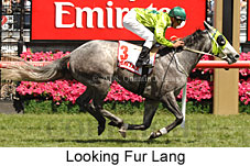 Looking Fur Lang (18507 bytes)