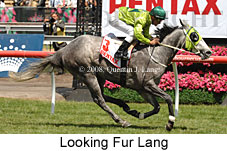 Looking Fur Lang (18507 bytes)