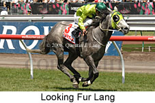 Looking Fur Lang (18507 bytes)