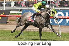 Looking Fur Lang (18507 bytes)