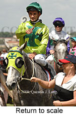 Return to scale (17769 bytes)