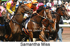 Samantha Miss (18507 bytes)