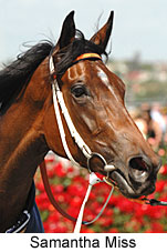 Samantha Miss (18507 bytes)