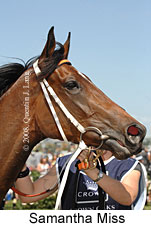 Samantha Miss (18507 bytes)