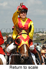 Return to scale (17769 bytes)