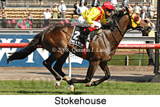 Stokehouse (18507 bytes)