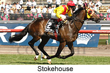 Stokehouse (18507 bytes)