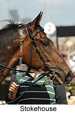 Stokehouse (18507 bytes)