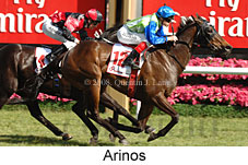 Arinos (18507 bytes)