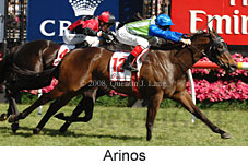 Arinos (18507 bytes)