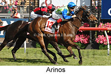 Arinos (18507 bytes)