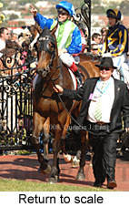 Return to scale (17769 bytes)