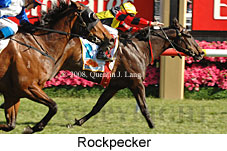 Rockpecker (18507 bytes)