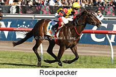 Rockpecker (18507 bytes)