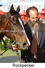 Rockpecker (18507 bytes)