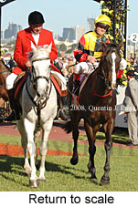 Return to scale (17769 bytes)