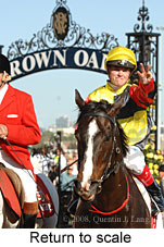 Return to scale (17769 bytes)