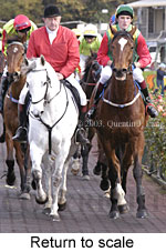 Return to scale (14480 bytes)