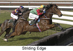 Striding Edge (18128 bytes)