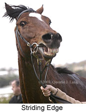 Striding Edge (14868 bytes)