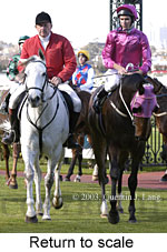 Return to scale (16342 bytes)