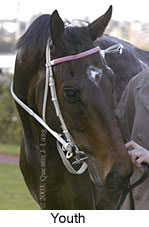 Youth (10075 bytes)