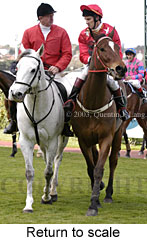 Return to scale (16522 bytes)