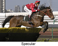 Specular (14881 bytes)