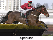 Specular (13326 bytes)