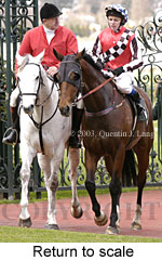 Return to scale (18748 bytes)